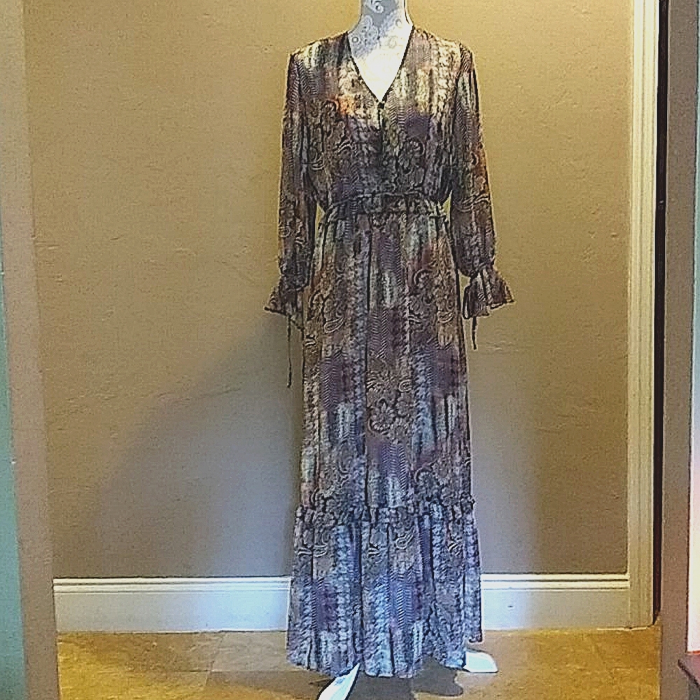 Hillary Scott LaBellum chiffon maxi dress, S